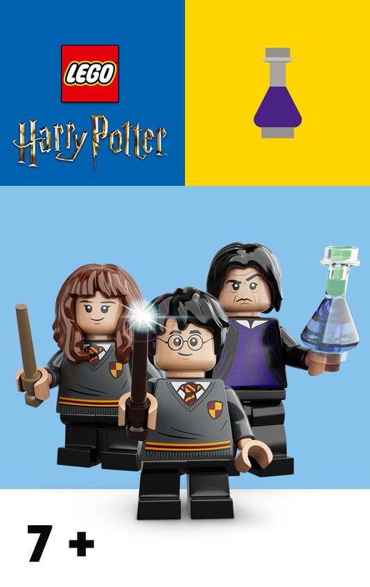 LEGO® Harry Potter