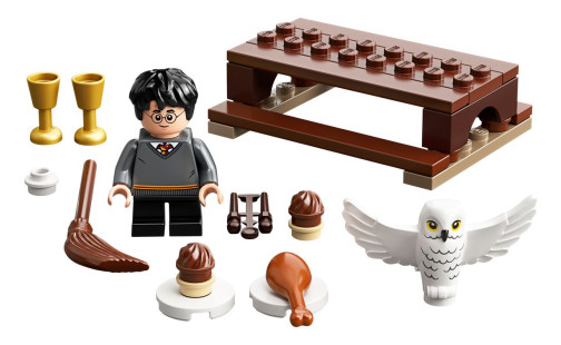 LEGO Harry Potter 30420 Harry Potter a Hedwiga: Sobí doručení (polybag)