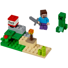LEGO 30393 Steve and Creeper Set (polybag)