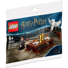 LEGO Harry Potter 30420 Harry Potter a Hedwiga: Sobí doručení (polybag)