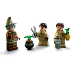 Lego Harry Potter 76384 Kouzelné momenty z Bradavic: Hodina bylinkářství